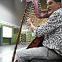 Professor Lagrine.  Cesar Andrés Legrine: Harp. : Fotos Subte 33 7 Ene 2017